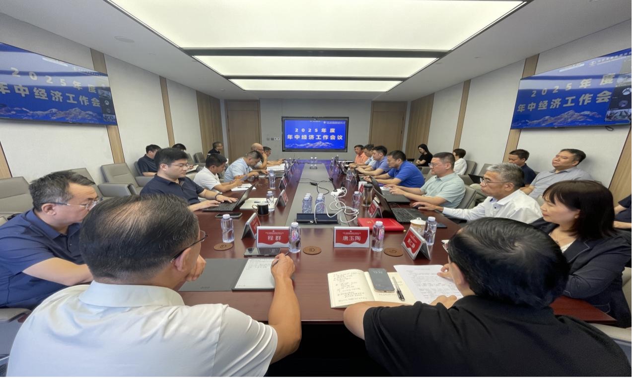Lewin乐玩资源集团2025年度年中经济工作会议圆满召开